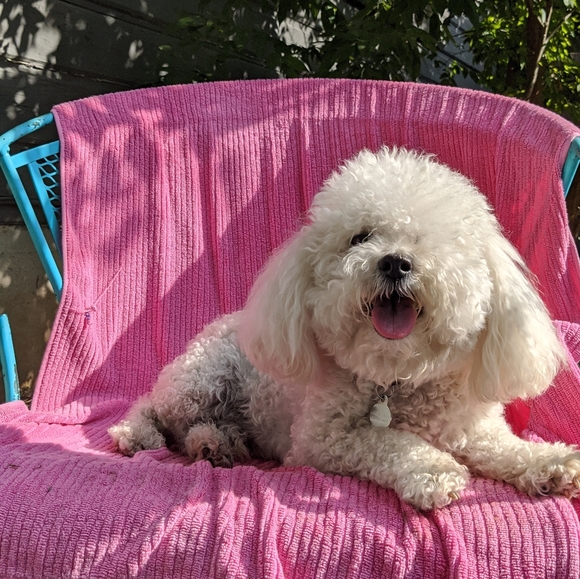 Meet your Posher, - Picture 3 of 5